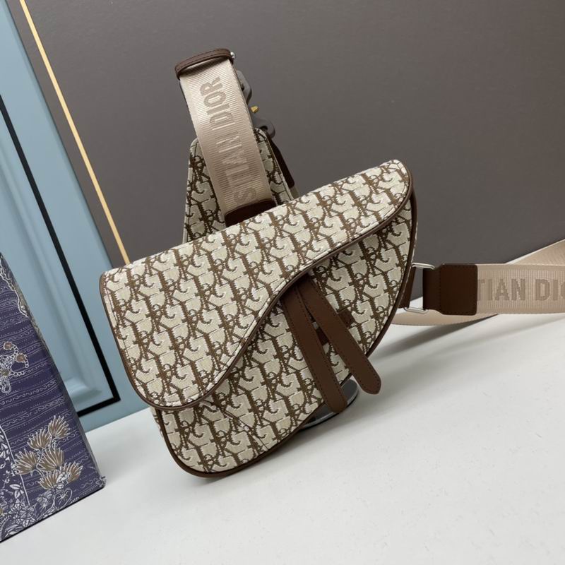 Dior saddle 20x28.6x5cm ww