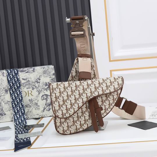 Dior saddle 9922 20x28.6x5cm ww