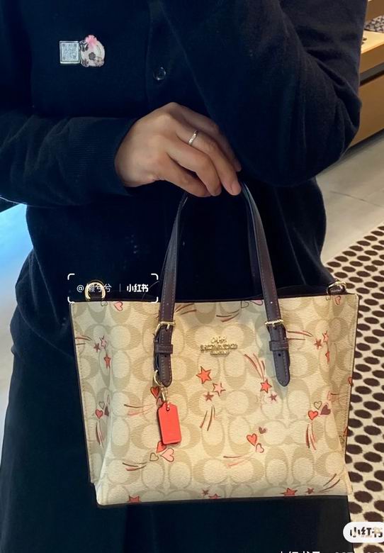 CK561 25X19X12cm JH