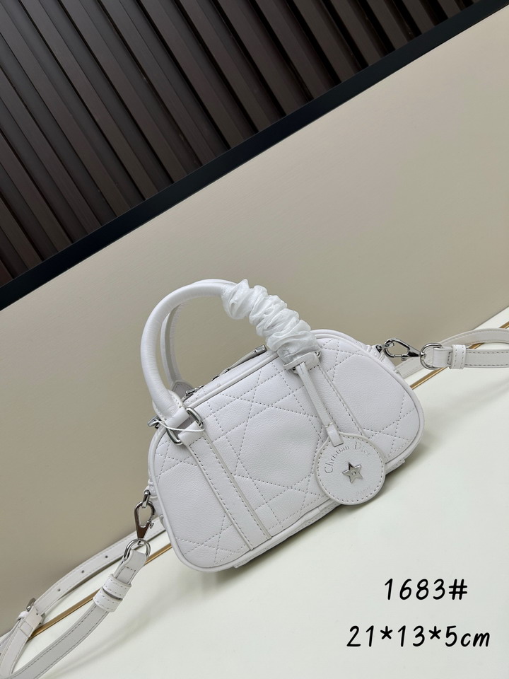 Dior 1683 20.5x13x5cm ss3