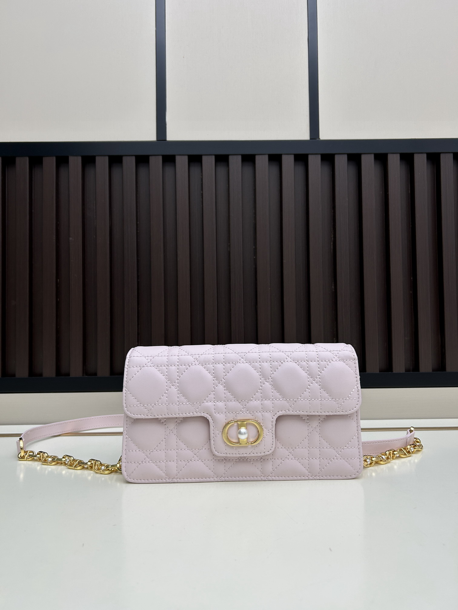 Dior s3117 21x11.5x4cm jj2
