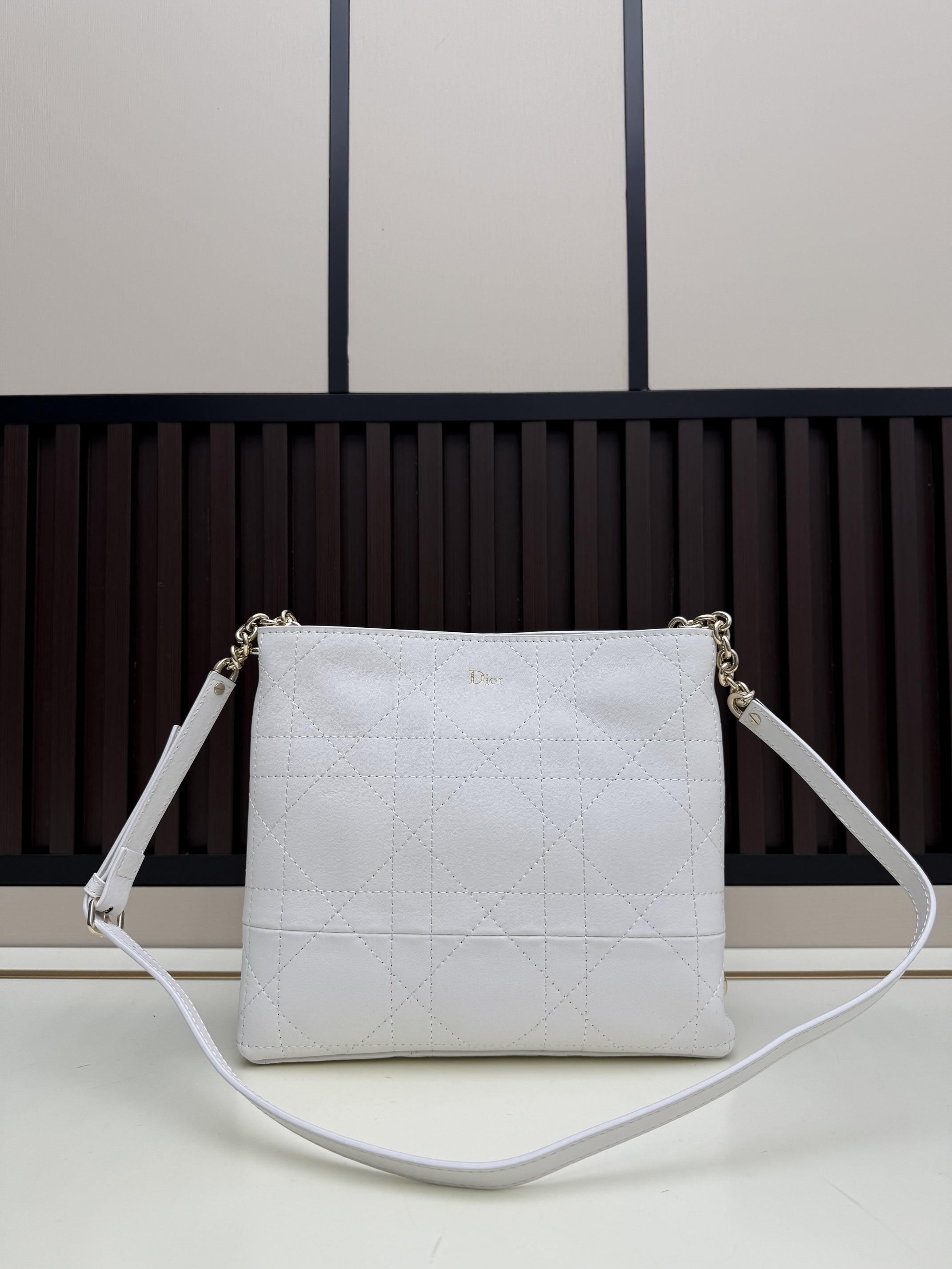 Dior 2616 25x21x6.5cm jj3