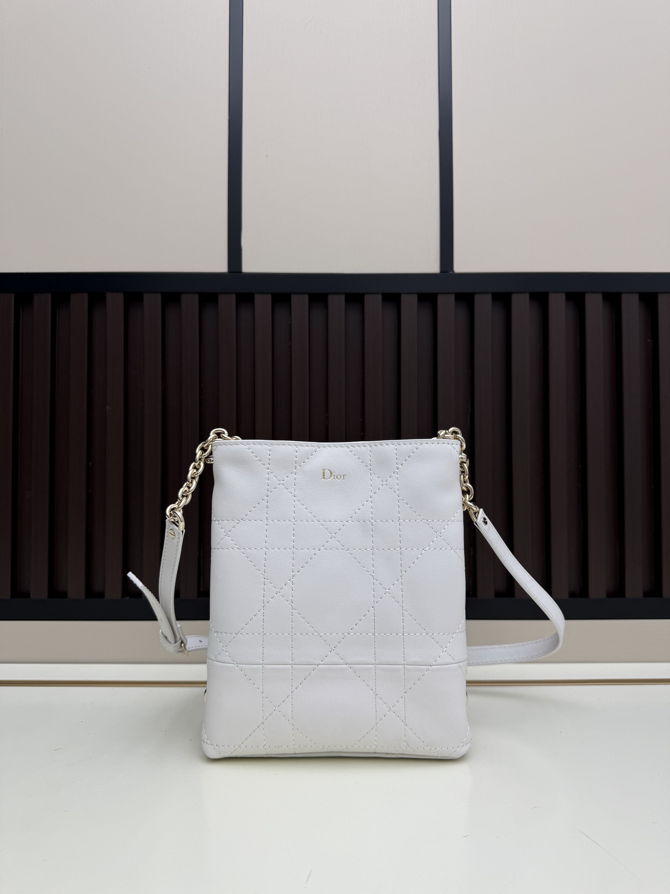 Dior 2617 21x18x6.5cm jj4