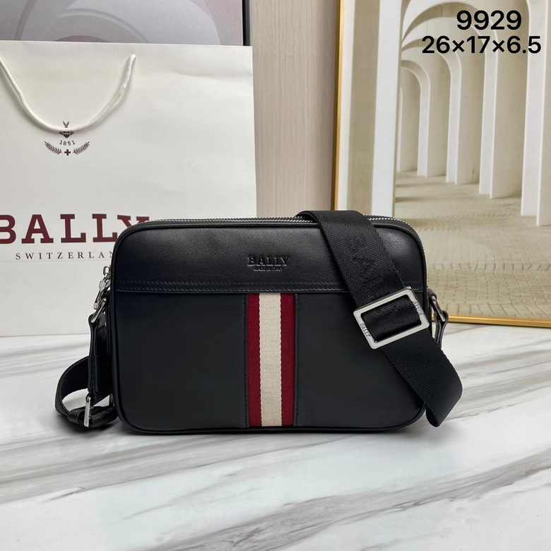 9929 26X17X6.5cm WP